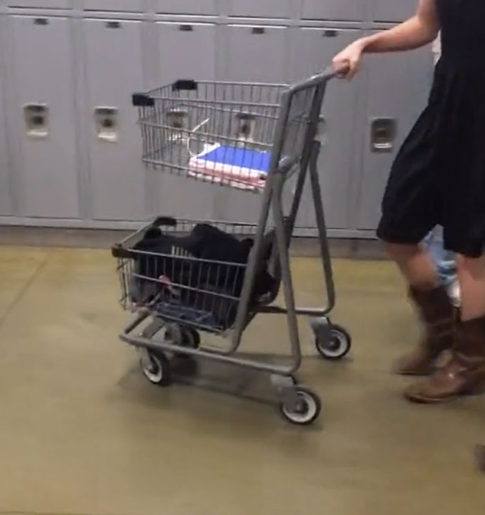 Students Can't Believe The Ridiculous US School Backpack Ban, Improvise With Random Household Items Students Can't Believe The Ridiculous US School Backpack Ban, Improvise With Random Household Items