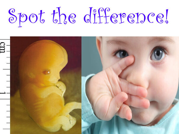 spot-the-difference-6131a9642a7c9-png.jpg