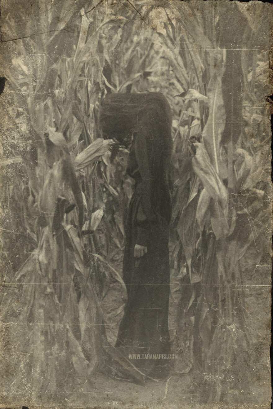 I Photographed Creepy Clowns In A Cornfield Because I Love Vintage Horror Halloween Images