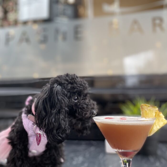 Poison Control Officer Pandoratheteacup: Smells Ok To Me... Salute!