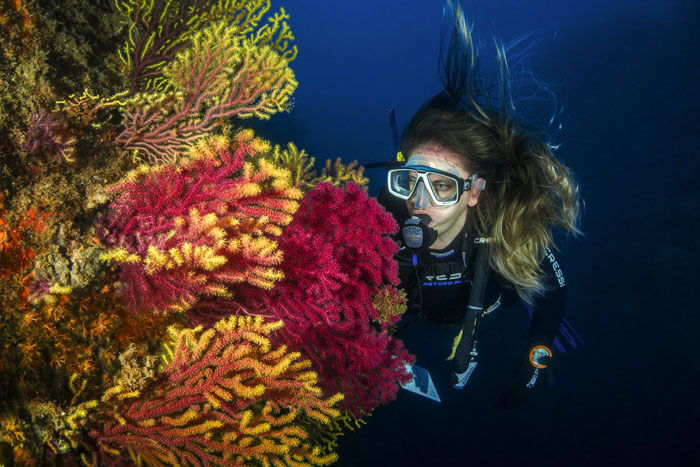 Woman scuba diving near colorful coral reef, exploring underwater environment with diving gear and mask in deep ocean.