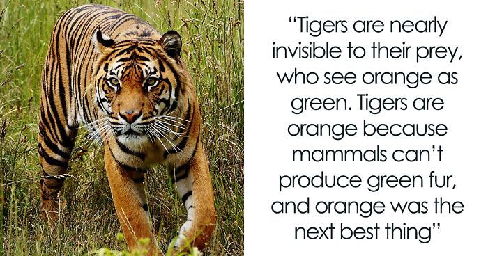 35 ‘Today I Learned’ Facts That Show It’s Never Too Late To Learn (New Pics)