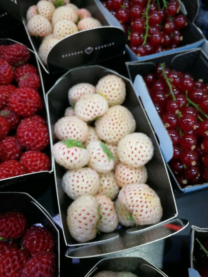 These White Strawberries