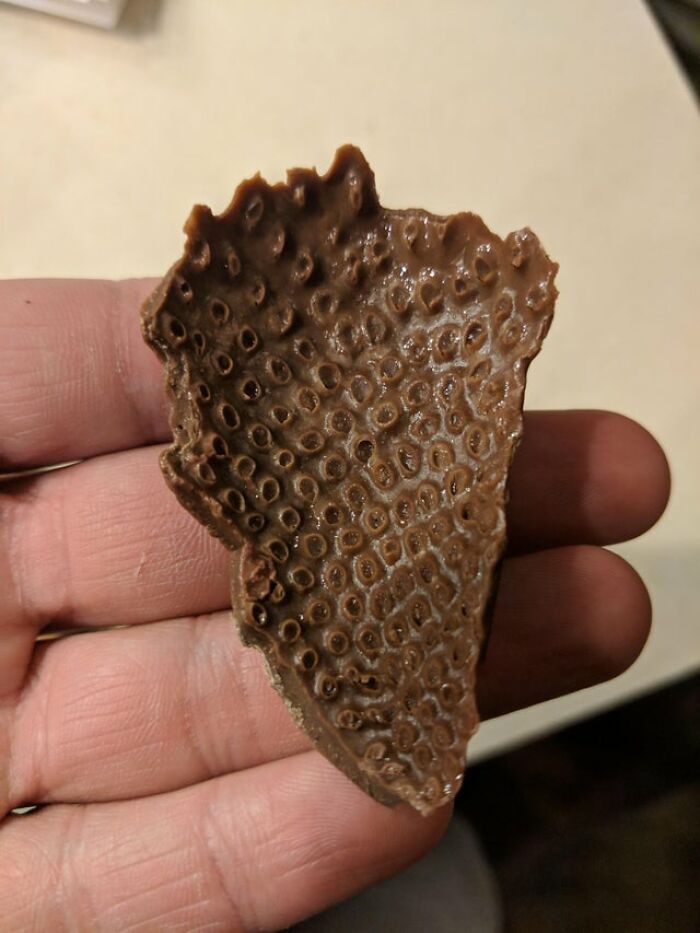 Chocolate Peeled Off A Chocolate Covered Strawberry