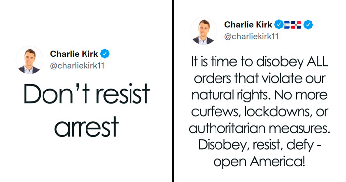 35 Times People Online Got Roasted With Brilliant “This You?” Comebacks