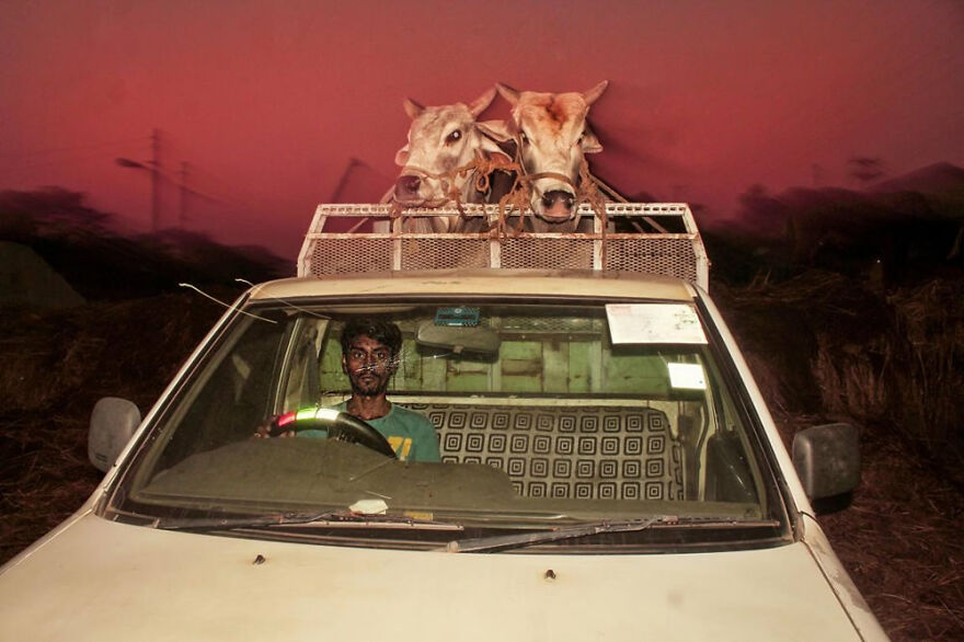 Somewhere Under The Red Sky By Abm Nayeem Siddiquee