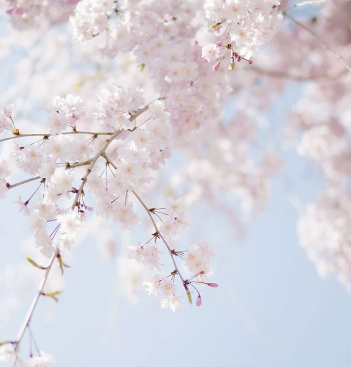 "¿Por qué demonios sabes eso?": 30 Datos que la gente quizá no debería haber compartido, pero ya es tarde