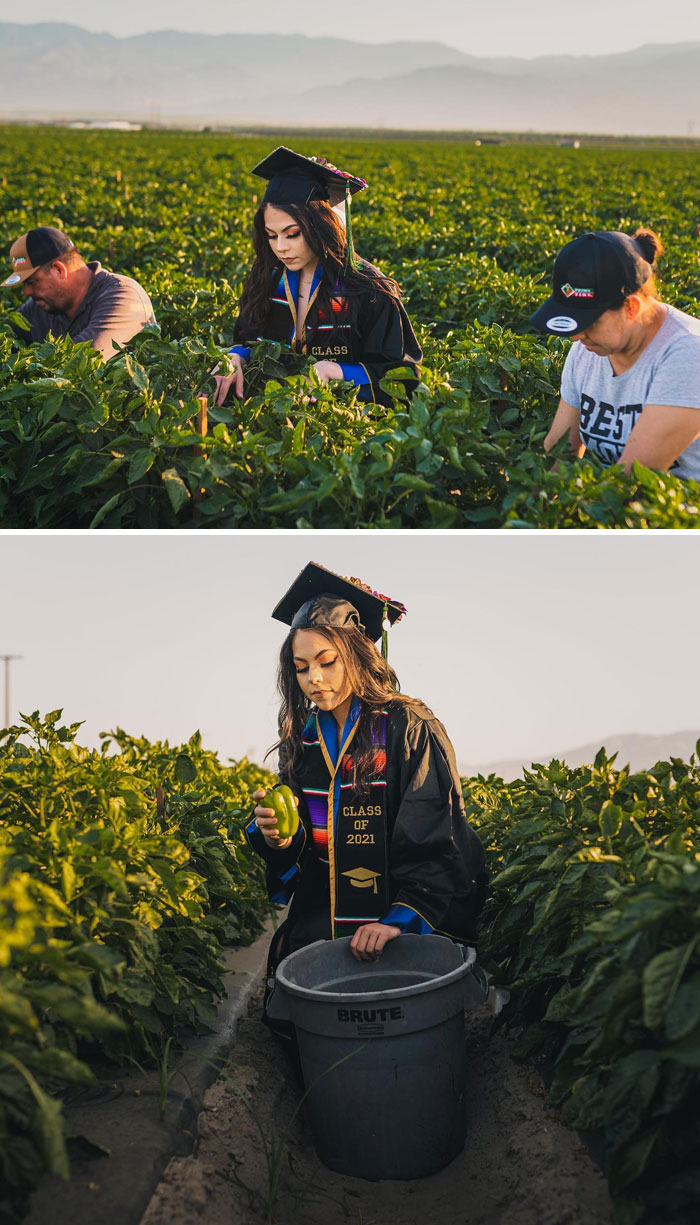 Jennifer Rocha Took Her Graduation Pictures In The California Fields Where She Has Worked Along Her Immigrant Farmworker Parents Harvesting Vegetables, For Many Years