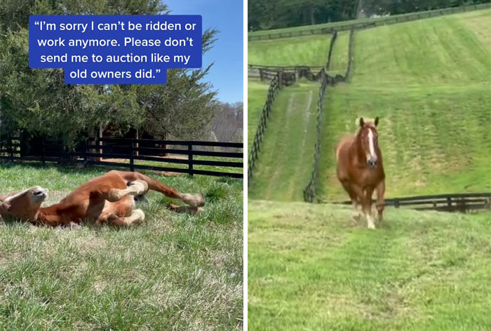 Youre-Enough-Trend-Tiktok