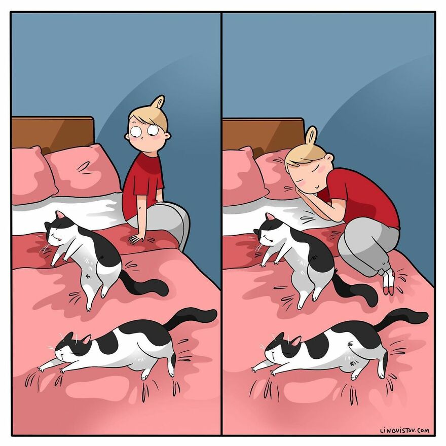 Comics That Those With A Cat Will Understand Perfectly (86 New Pics)