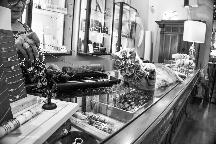 Romeo At The Jewelry