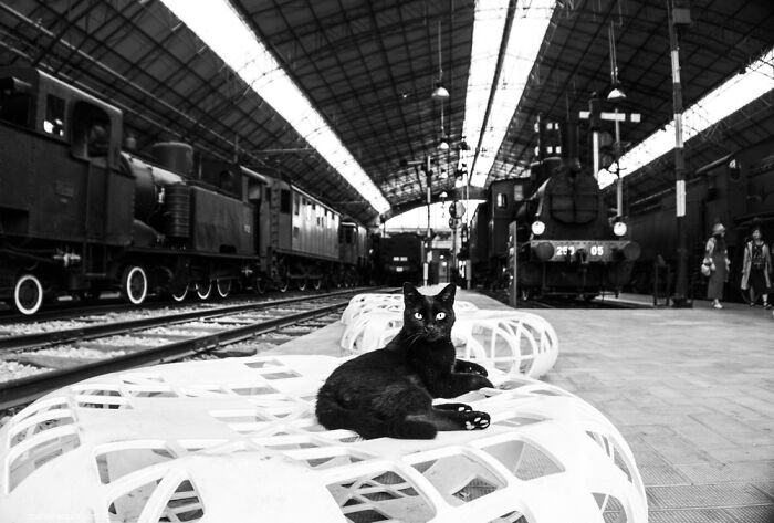 Enrica At The Museum