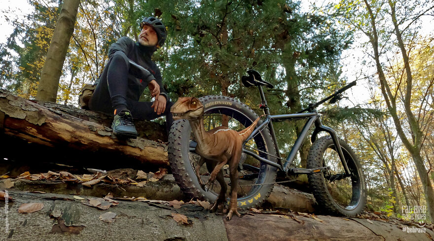 My Magic Fat Bike Rides Or I Can See Dragons Fly … My Magic Fat Bike Rides Or I Can See Dragons Fly …