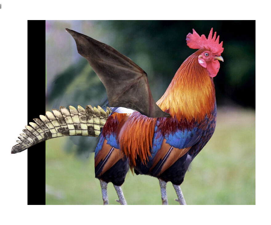 40 Low-Effort Photoshop Mythical Creatures