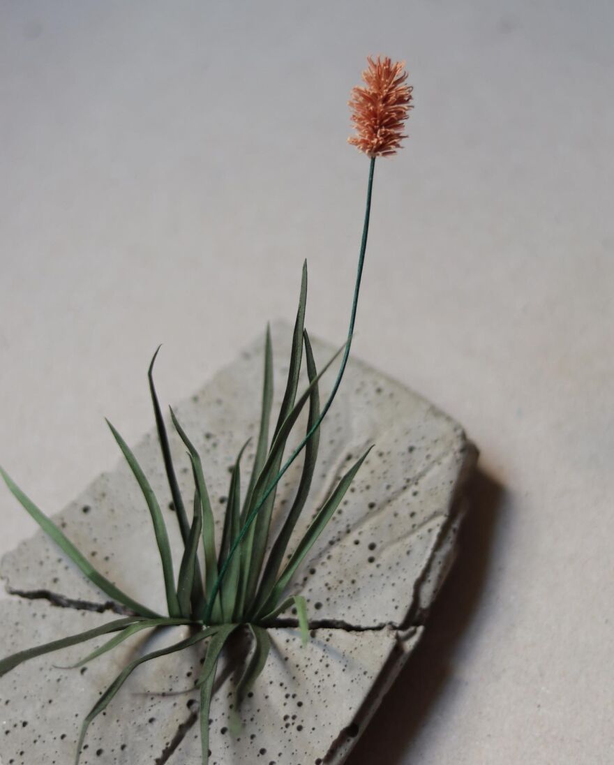 My New Series Called 'Weeds'