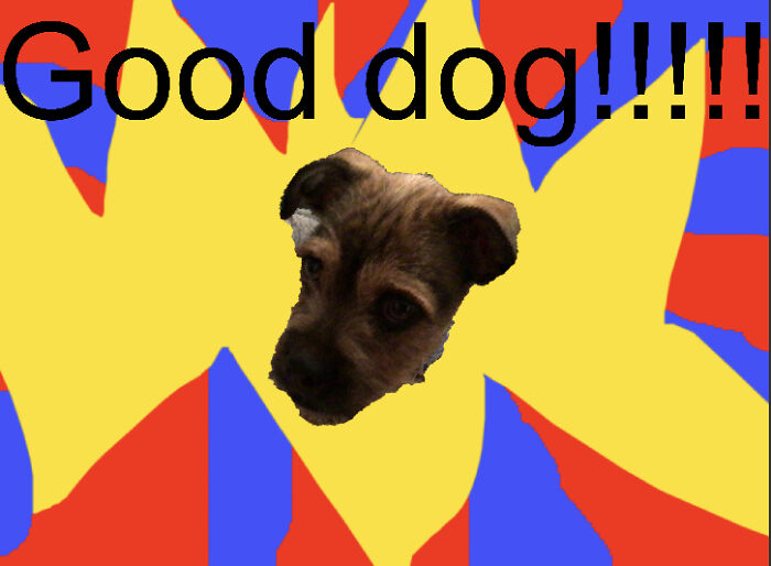Good Dog!!!!