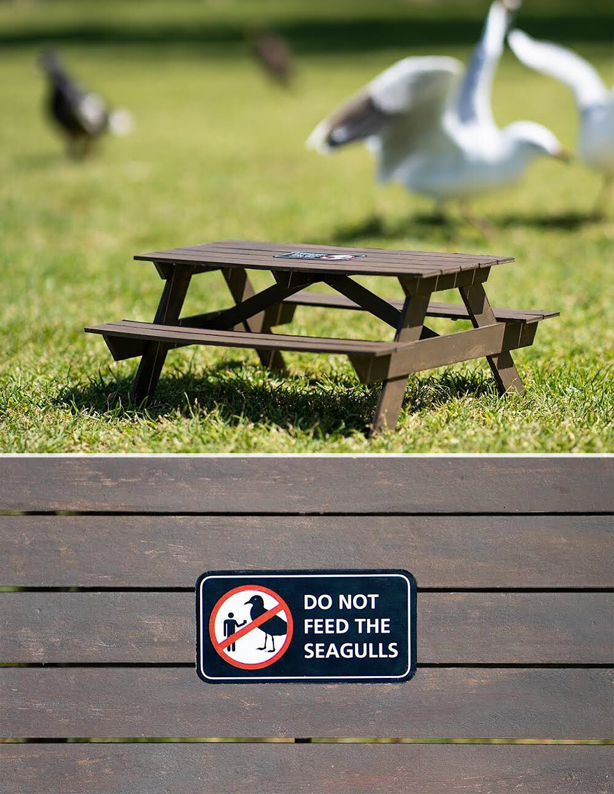 Artist Continues To Create Fun Street Signs Marking Small Places