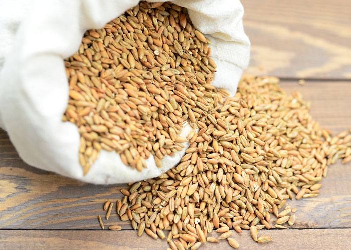 "Hoy aprendí": 30 datos que demuestran que nunca es tarde para aprender (nuevas imágenes)