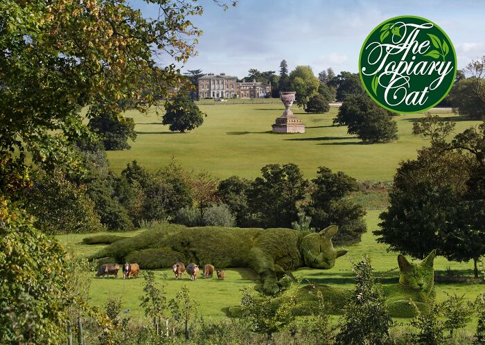 This 75-Year-Old Artist Creates Edits Of Bushes In Honor Of His Deceased Cat