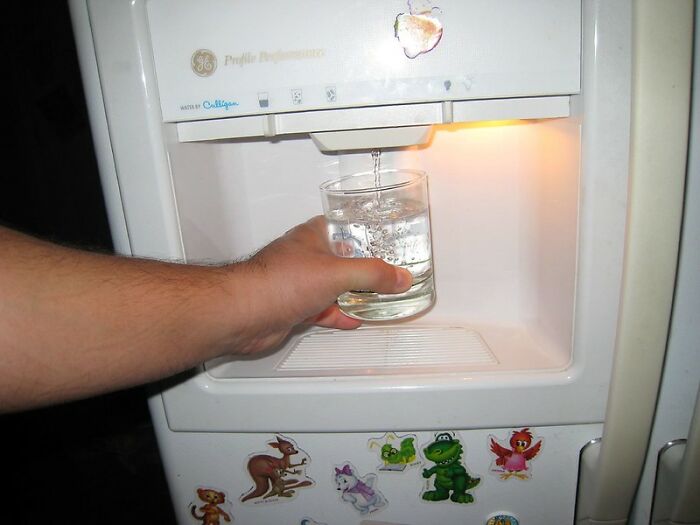 16 Datos que suenan demasiado locos para ser verdad