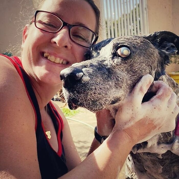 This Dog That Spent 10 Years In A Shelter Due To His Missing Leg, Old Age And Blindness Finally Finds His Forever Home This Dog That Spent 10 Years In A Shelter Due To His Missing Leg, Old Age And Blindness Finally Finds His Forever Home