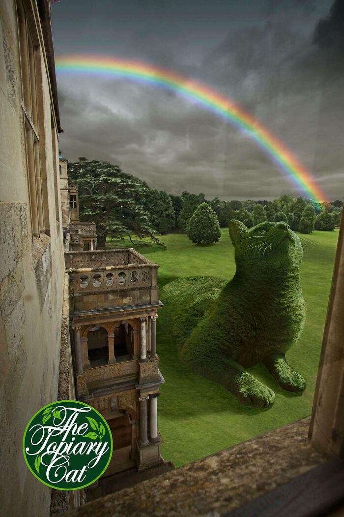 This 75-Year-Old Artist Creates Edits Of Bushes In Honor Of His Deceased Cat