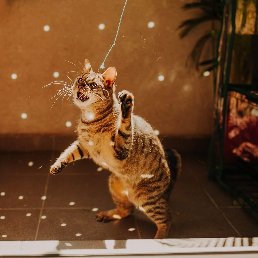 I Capture Beautiful Emotions Of My Two Favorite Models