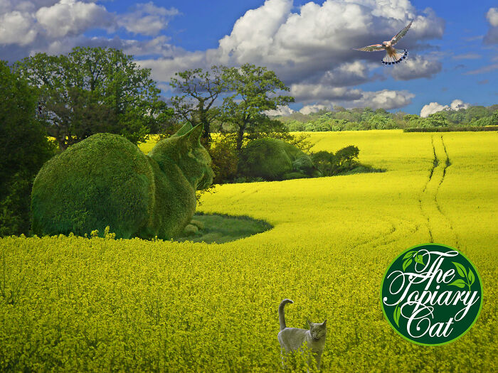 This 75-Year-Old Artist Creates Edits Of Bushes In Honor Of His Deceased Cat