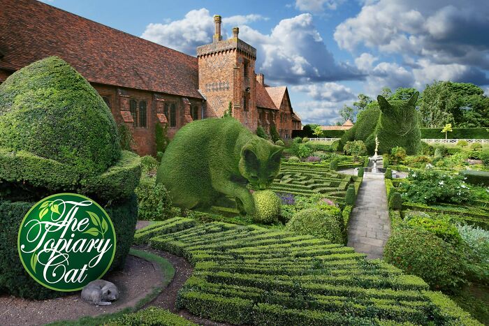 This 75-Year-Old Artist Creates Edits Of Bushes In Honor Of His Deceased Cat