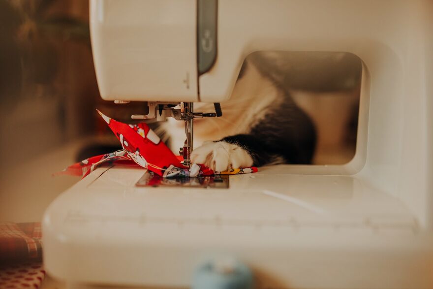 I Capture Beautiful Emotions Of My Two Favorite Models