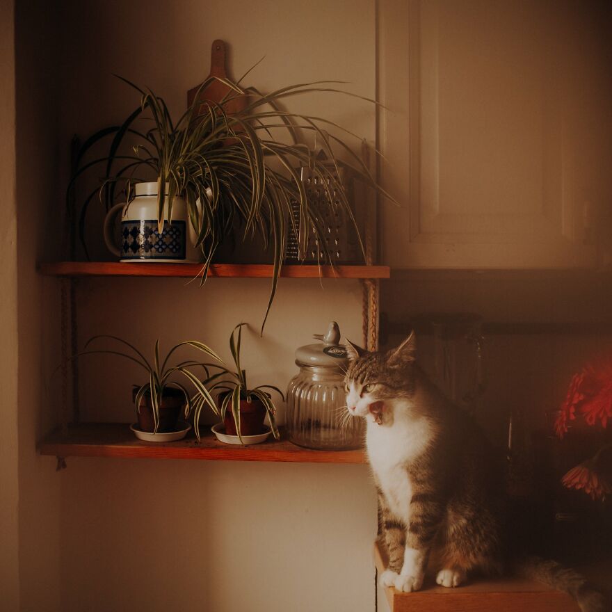 I Capture Beautiful Emotions Of My Two Favorite Models