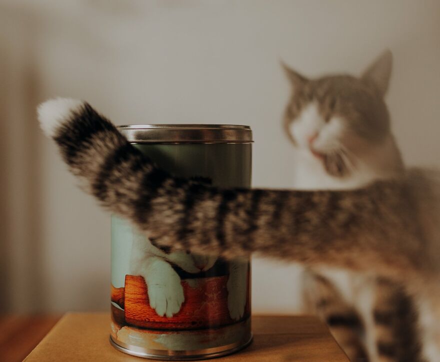 I Capture Beautiful Emotions Of My Two Favorite Models