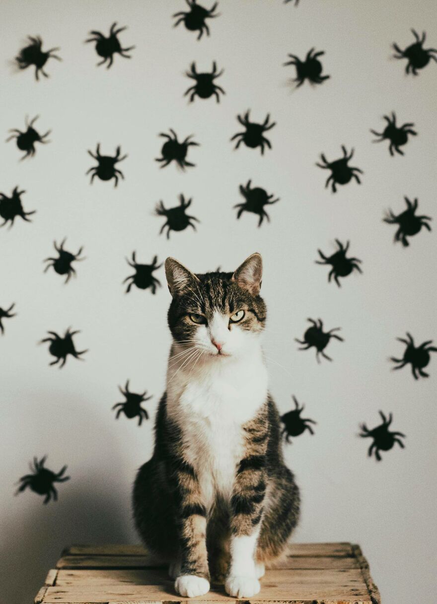 I Capture Beautiful Emotions Of My Two Favorite Models