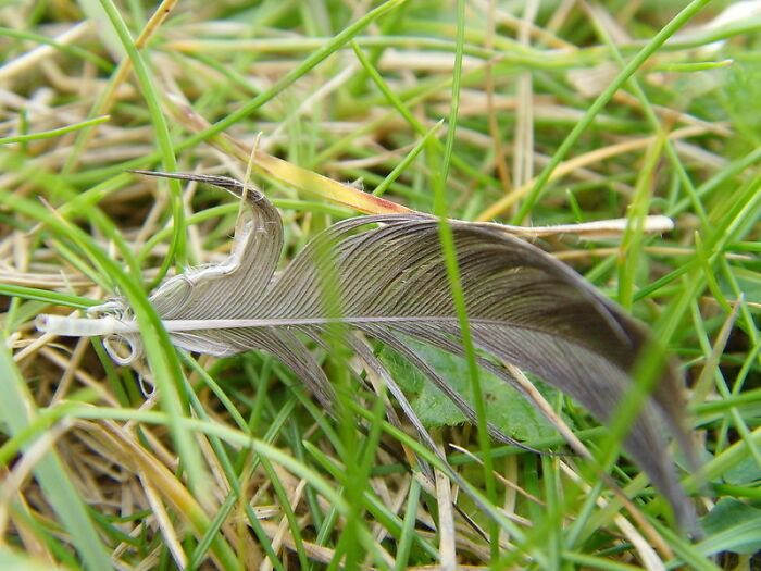 29 Outdated Words And Phrases Some Older Folks Use That Puzzle Millennials And Gen Zers In This Online Group