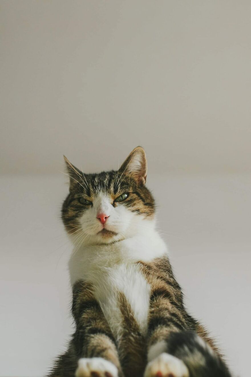 I Capture Beautiful Emotions Of My Two Favorite Models