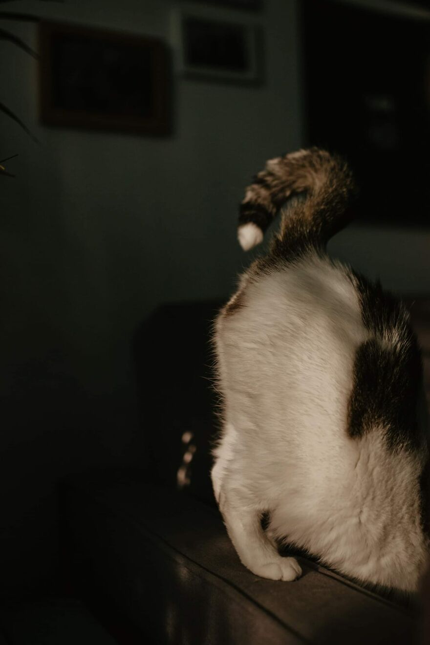 I Capture Beautiful Emotions Of My Two Favorite Models