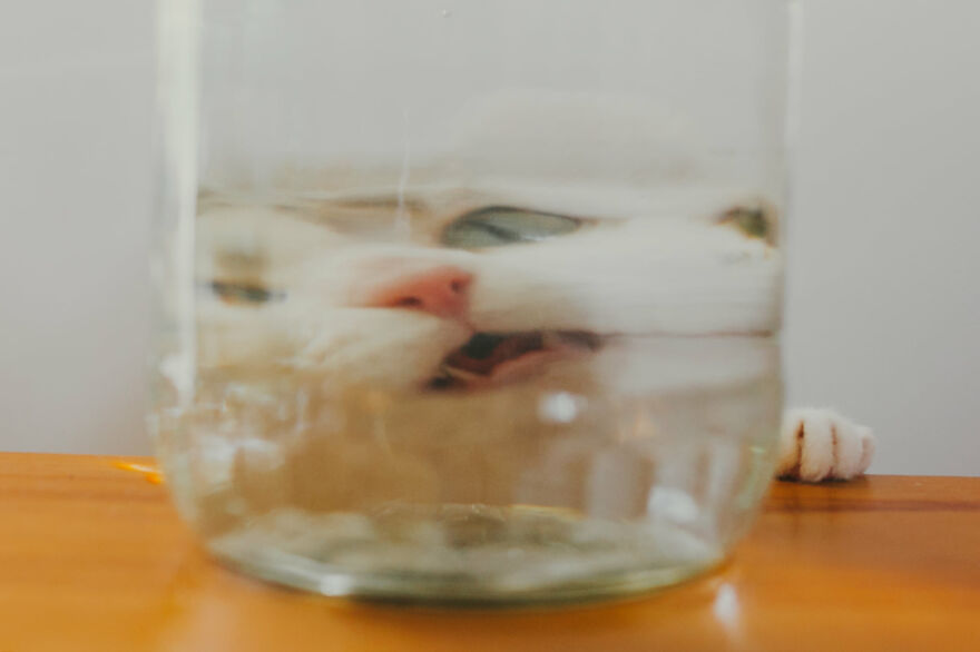 I Capture Beautiful Emotions Of My Two Favorite Models