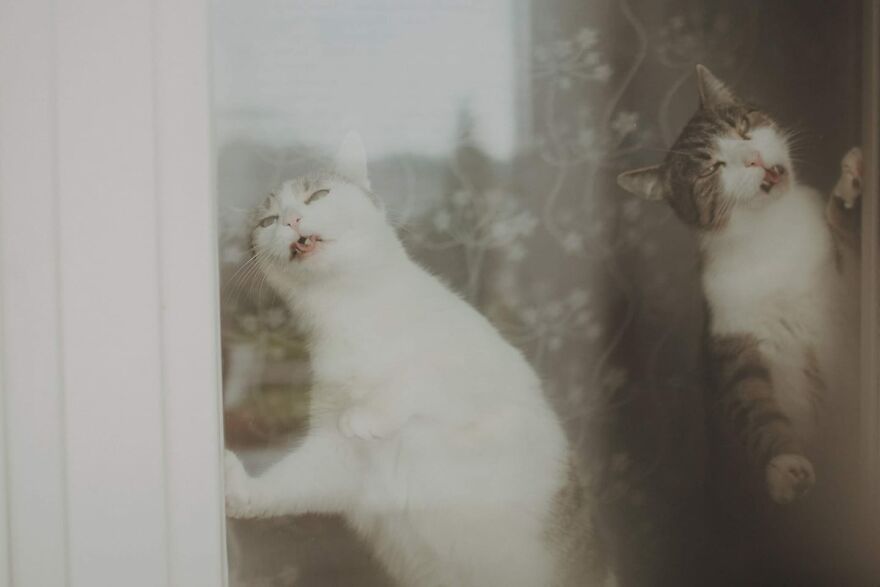 I Capture Beautiful Emotions Of My Two Favorite Models