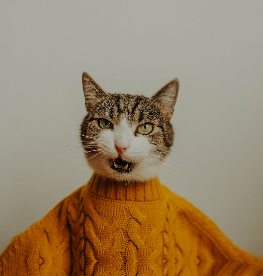 I Capture Beautiful Emotions Of My Two Favorite Models