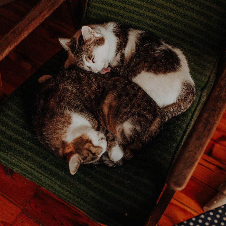 I Capture Beautiful Emotions Of My Two Favorite Models