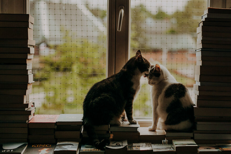 I Capture Beautiful Emotions Of My Two Favorite Models