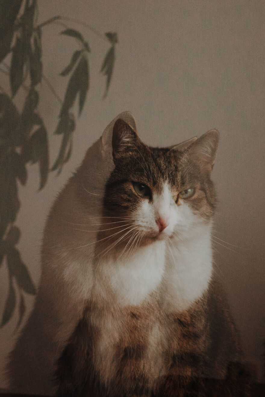 I Capture Beautiful Emotions Of My Two Favorite Models