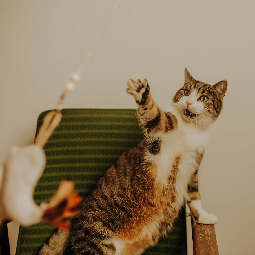 I Capture Beautiful Emotions Of My Two Favorite Models