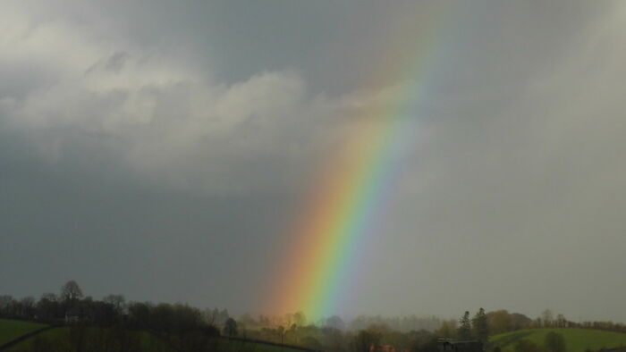 30 Of The Weirdest And The Most Disturbing Facts From Known History, Shared By People In This Online Group