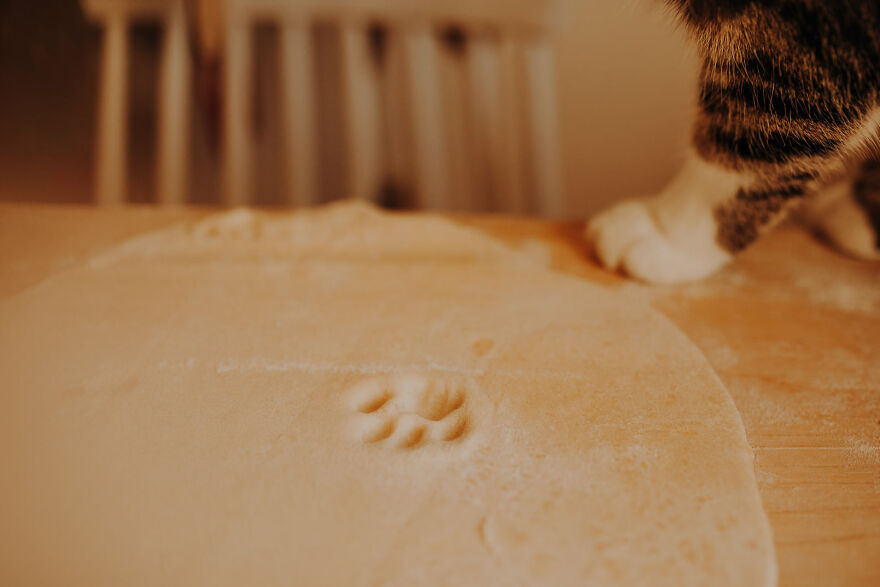 I Capture Beautiful Emotions Of My Two Favorite Models