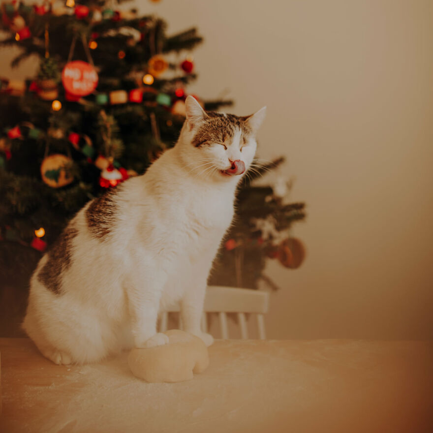 I Capture Beautiful Emotions Of My Two Favorite Models