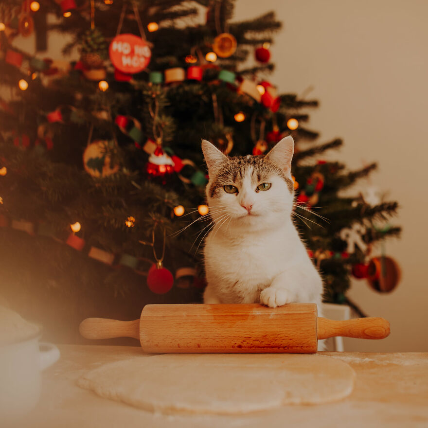 I Capture Beautiful Emotions Of My Two Favorite Models