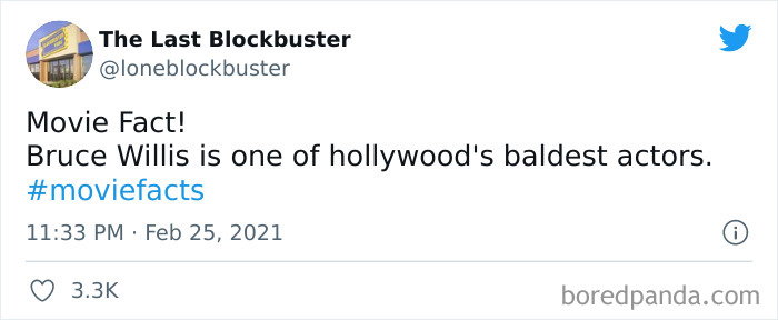 Funny-The-Last-Blockbuster-Tweets