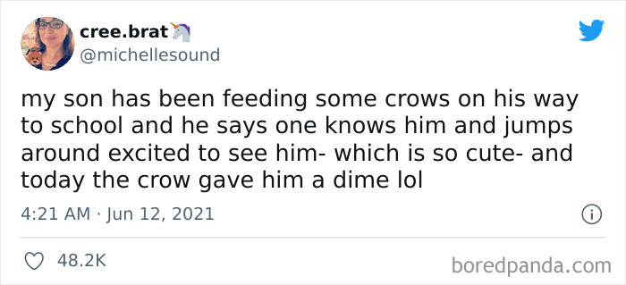 Animals Really Are Man’s Best Friends