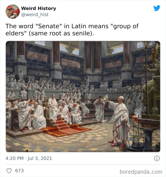 Roman senators dressed in togas gathered in an ancient senate hall, illustrating weird history and trivia facts.